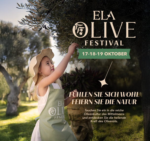 Olivefest Web Banners De