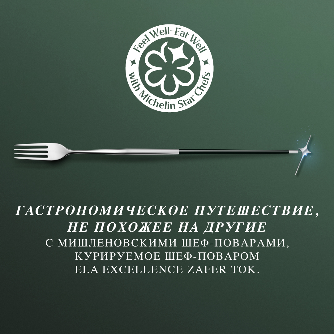 Michelin Square Banners RU
