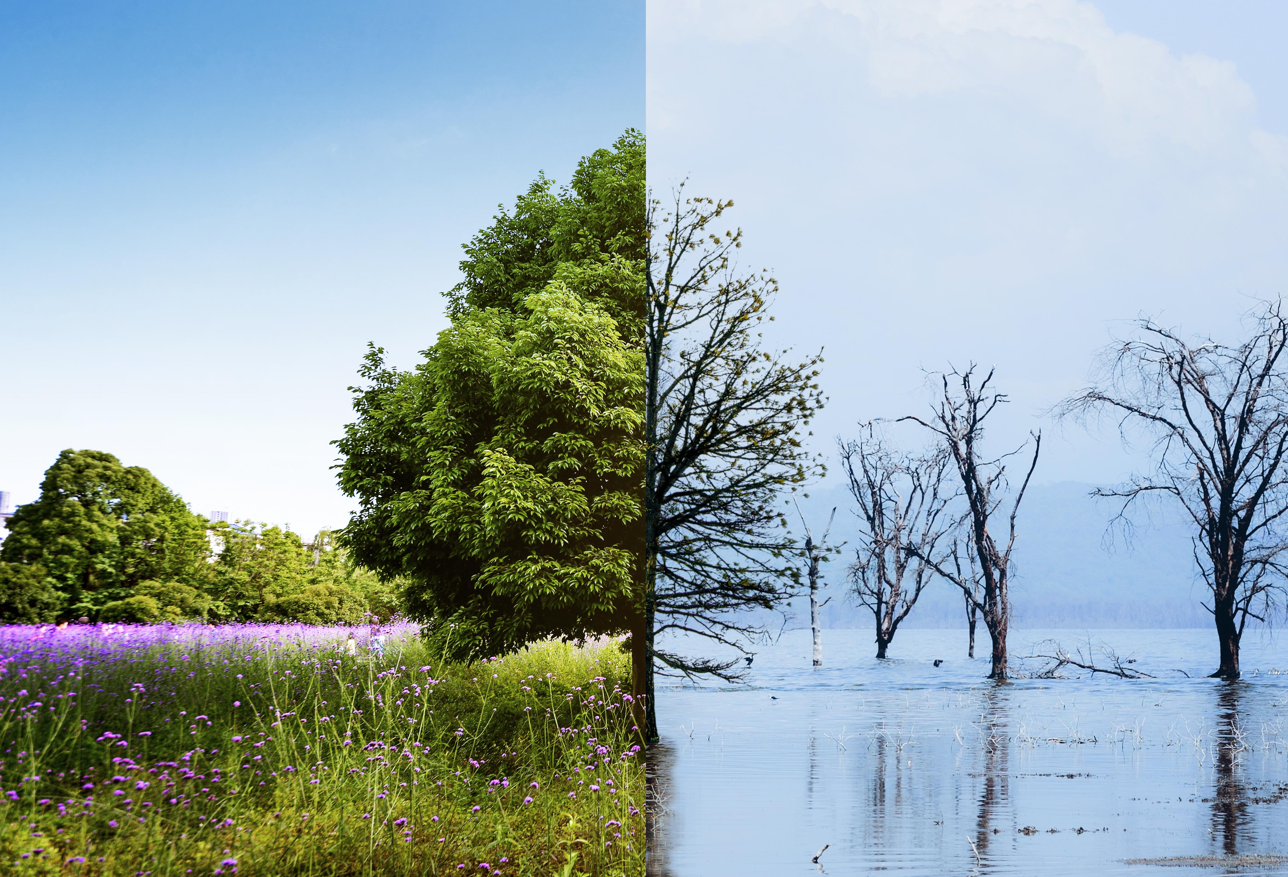 Climate Change Concept Collage 2