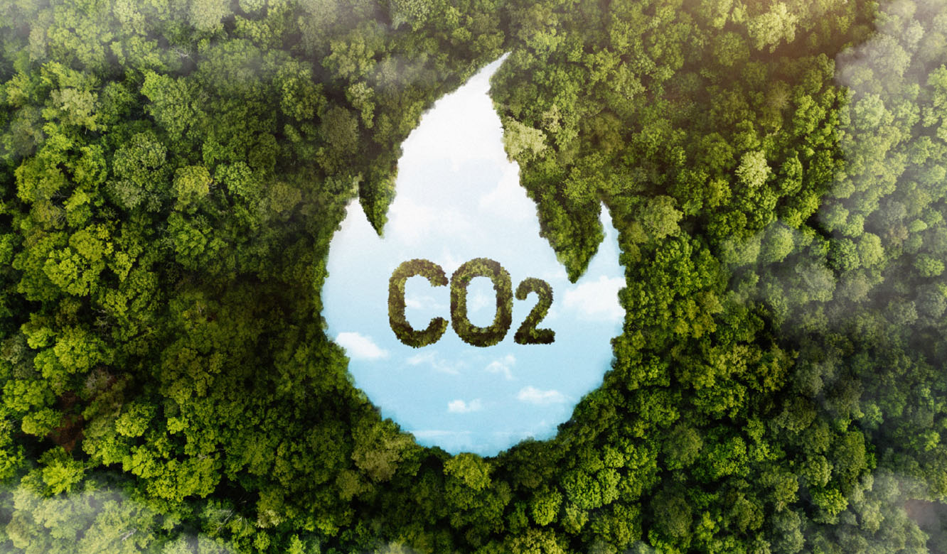 Ela Blog Karbon Banner