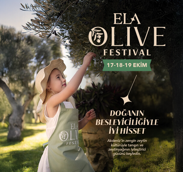 /media/fdobfx0z/olivefest-web-banners-tr.jpg