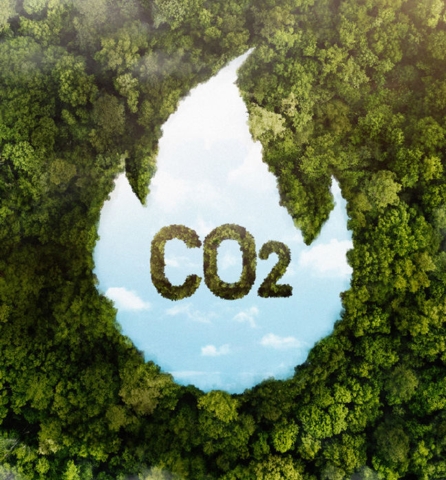 Ela Blog Karbon Card