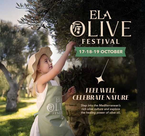 Olivefest Web Banners En